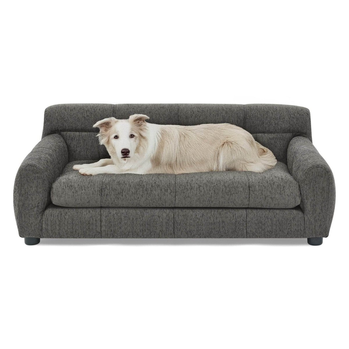 Modern Linen Fabric Dark Gray Pet Sofa - Sleep Galleria