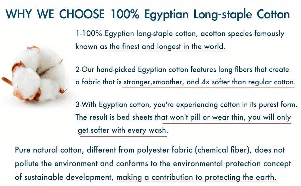 3pcs 600TC 100% Egyptian Cotton Duvet Cover Set, Blue Watercolor Floral, Soft Breathable Skin-Friendly (No Inserts) - Sleep Galleria