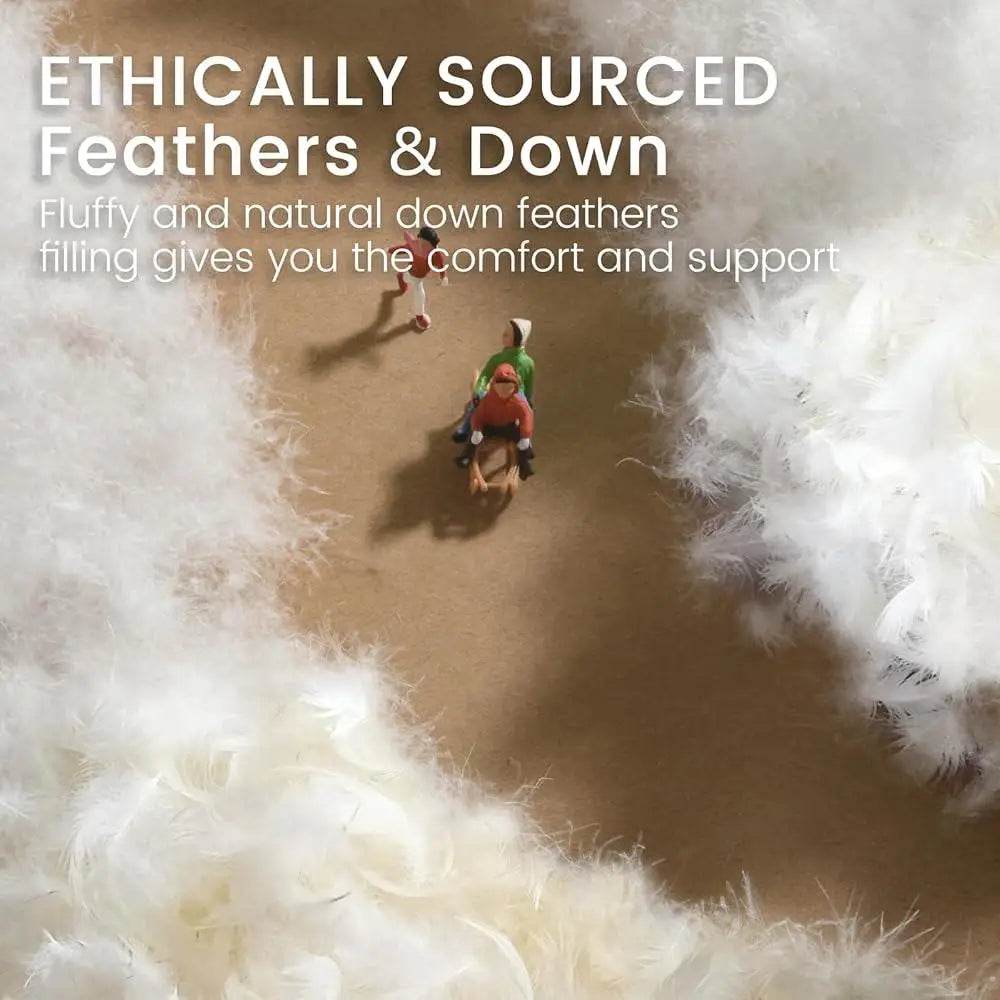 Goose Feather Down Pillows Queen Size Set of 2 Soft Medium Support Hotel Quality 600TC Cotton Cover Hypoallergenic Sleep Comfort - Omega Lifestyles