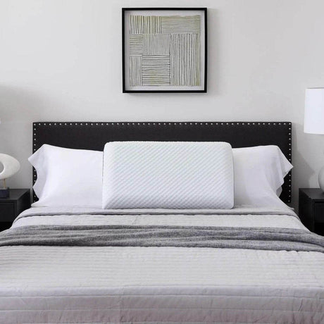 Pillows By Size - Sleep Galleria