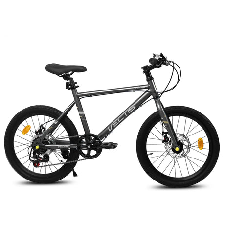 Kids 20-Inch Steel Frame 7-Speed Dual Disc Bike - Omega Lifestyles