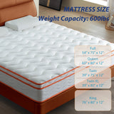 Queen Medium 12-Inch Hybrid Memory Foam Pocket Spring Mattress - Omega Lifestyles