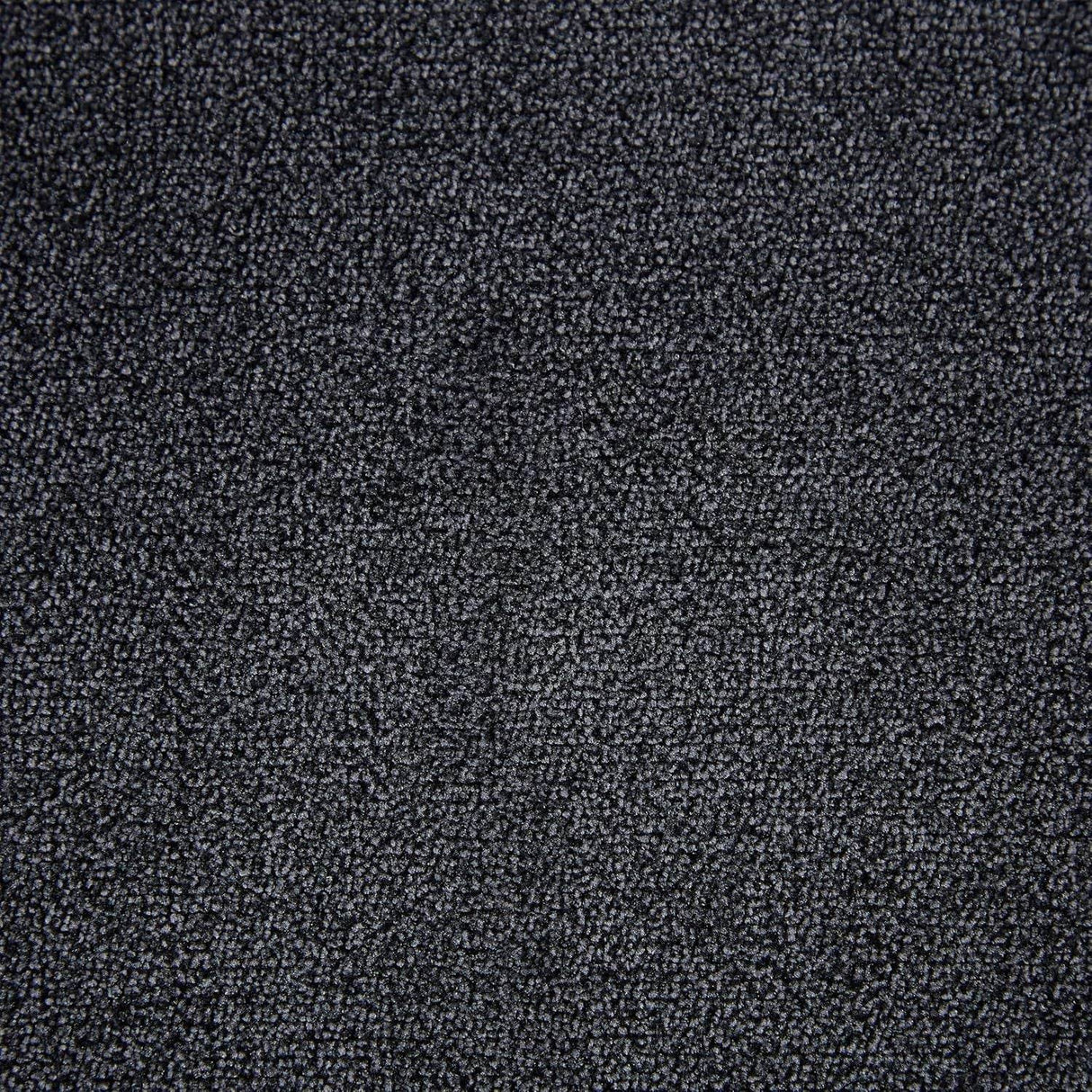 20557184