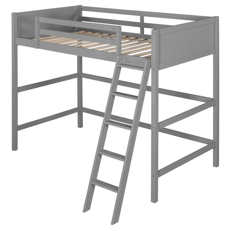 Solid Wood Twin Loft Bed With Ladder Gray - Omega Lifestyles
