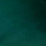 Green Silky Velvet Upholstered Accent Chair With Gold Base - Omega Lifestyles