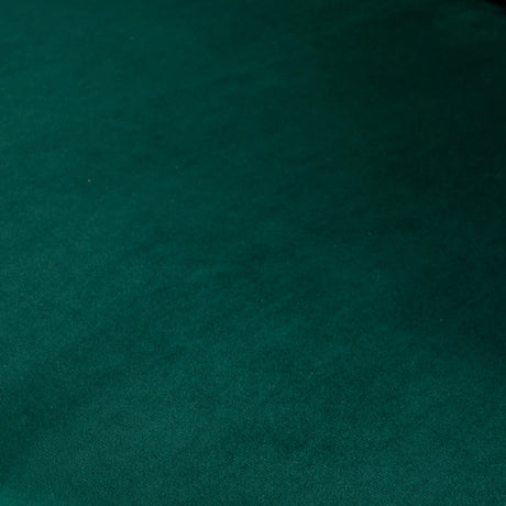 Green Silky Velvet Upholstered Accent Chair With Gold Base - Omega Lifestyles