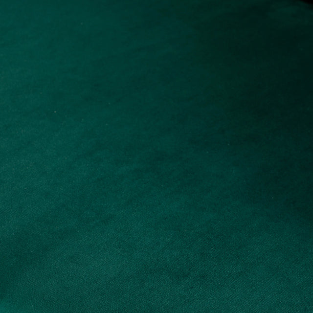 Green Silky Velvet Upholstered Accent Chair With Gold Base - Omega Lifestyles