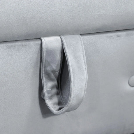 Classic Velvet Storage Chaise Lounge With Pillow - Omega Lifestyles