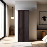 Modern Engineered Wood Armoire With 2 Doors and Shelves