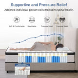 Medium 12-Inch Zoned Pocket Spring Gel Foam Queen Mattress - Omega Lifestyles