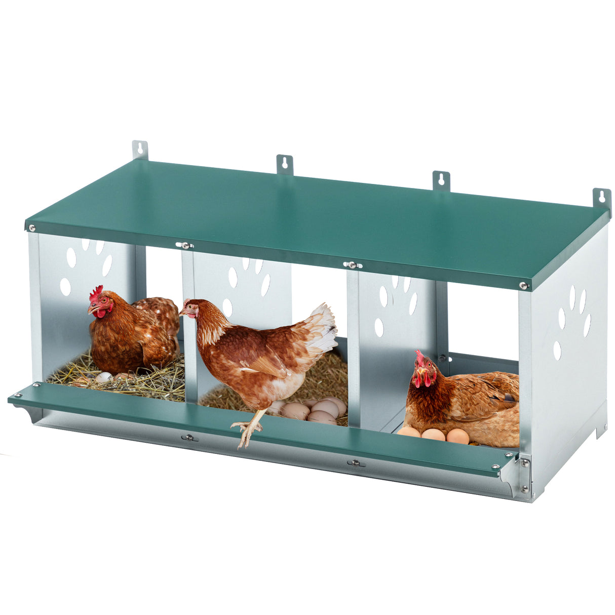 Galvanized Steel 3-Compartment Chicken Nesting Box