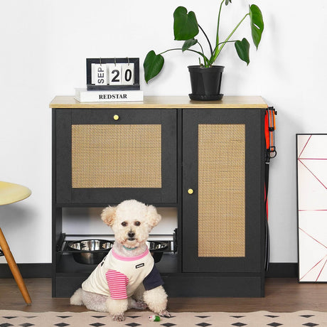 Pet Feeding Station With 2 Elevated Bowls And Storage - Sleep Galleria