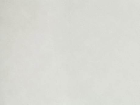 Set of 2 White Synthetic Leather Dining Side Chairs - Omega Lifestyles