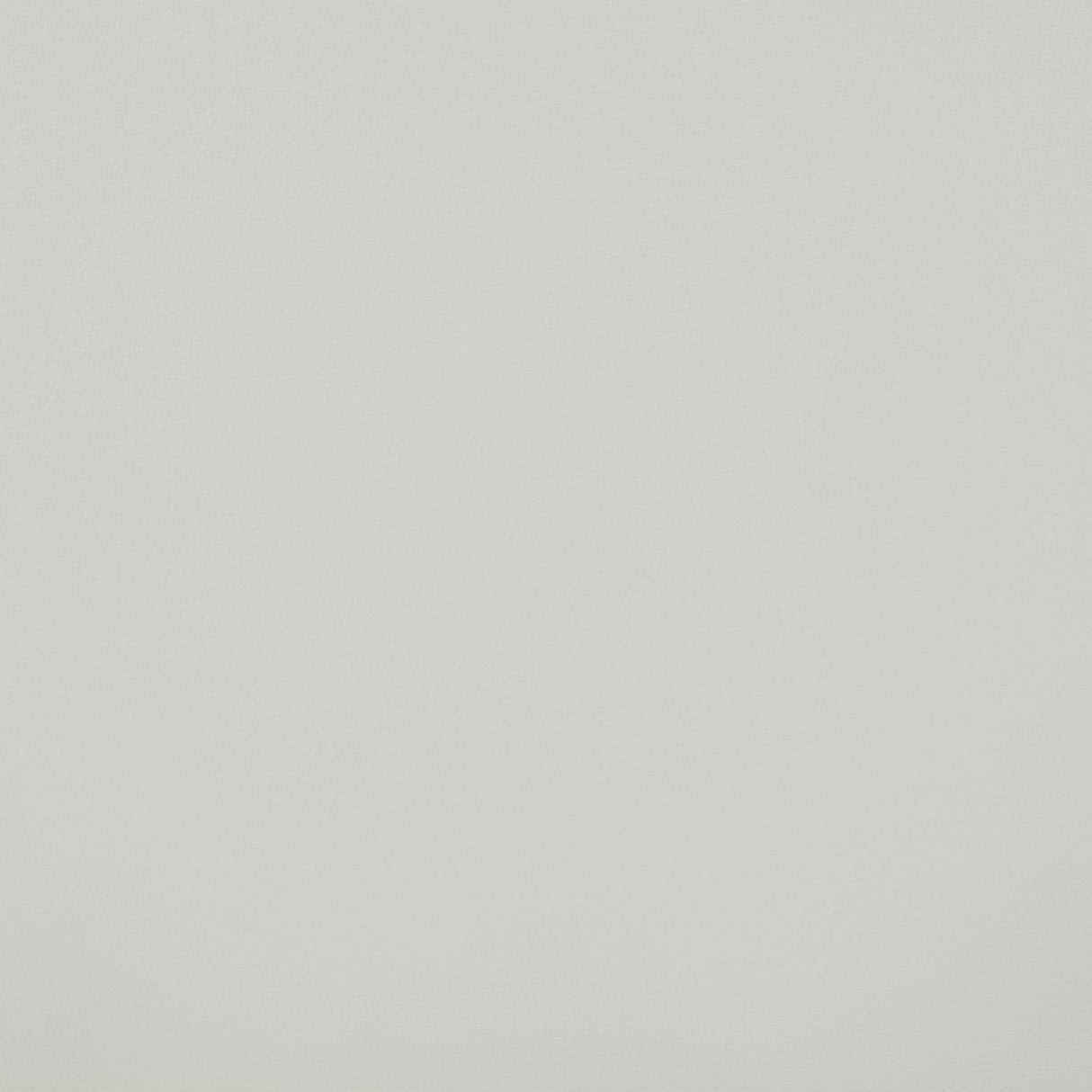 20557731