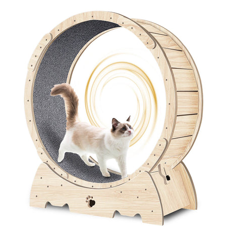 Solid Wood Indoor Cat Exercise Running Wheel - Sleep Galleria