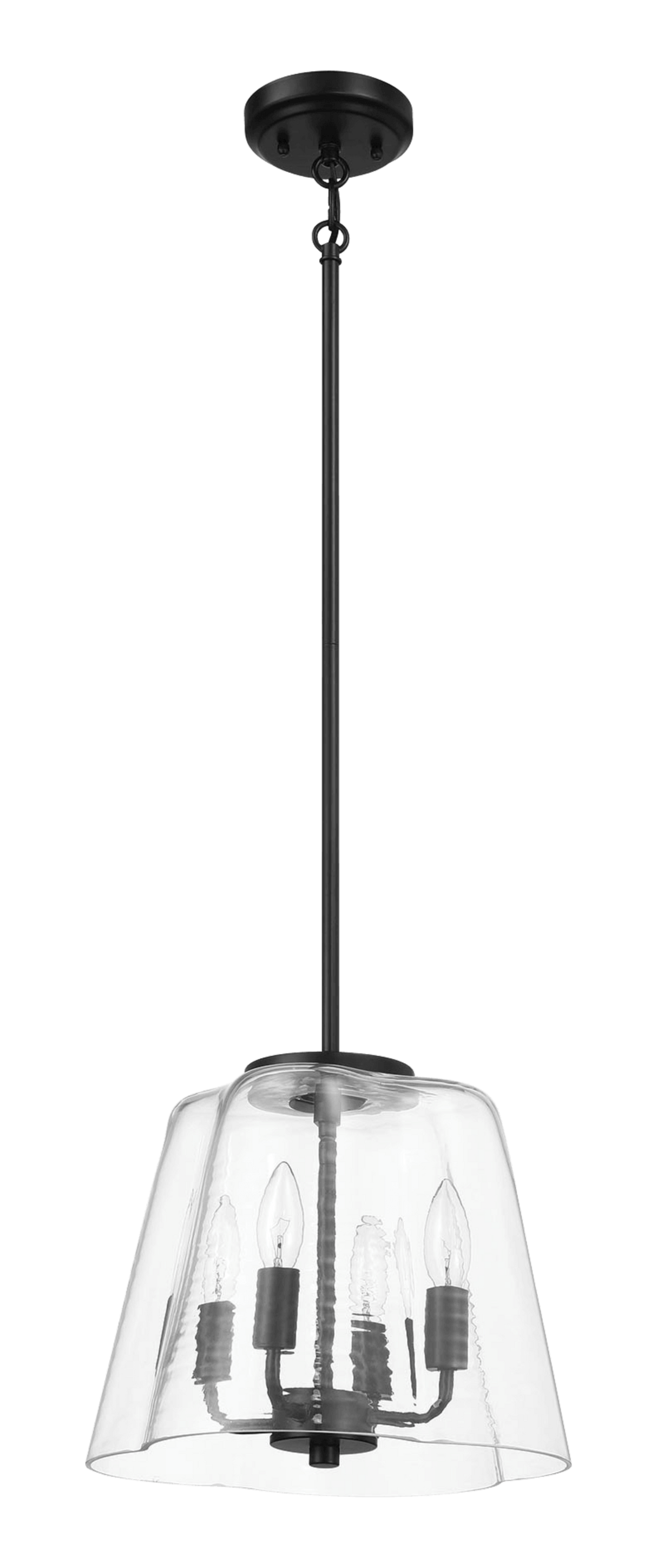 Soiree Four Light Black Metal Glass Pendant Lighting