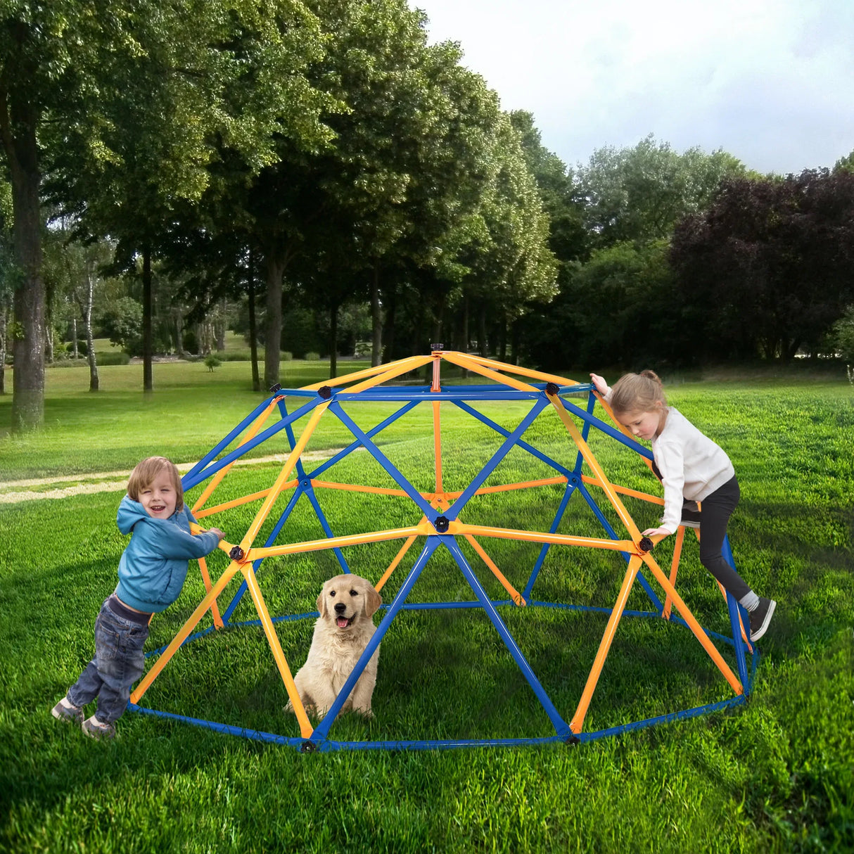 Outdoor Dome Climber Metal Monkey Bars Jungle Gym - Omega Lifestyles