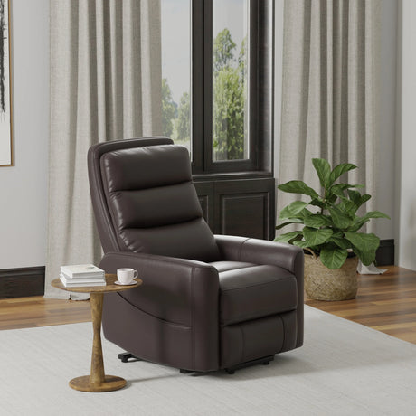 Power Lift Faux Leather Recliner Chair With USB Charging - Omega Lifestyles
