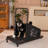 Pet Treadmill For Medium Dogs With Remote Control - Omega Lifestyles