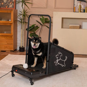Pet Treadmill For Medium Dogs With Remote Control - Omega Lifestyles