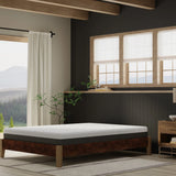 King Firm 8-Inch Pur Chill Cooling Memory Foam Mattress - Omega Lifestyles