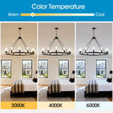 Farmhouse Matte Black Wagon Wheel 12-Light Chandelier - Omega Lifestyles