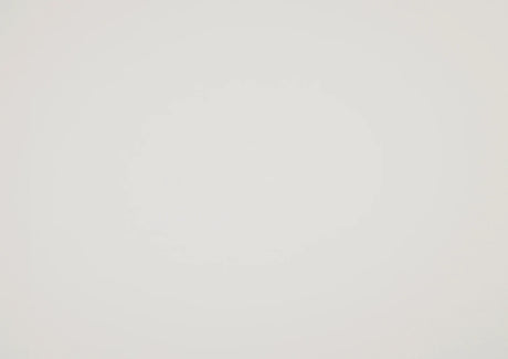 Twin Farmhouse White Wood Panel Bed Frame - Omega Lifestyles