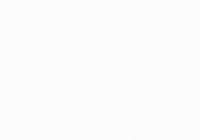 Contemporary White Wood Queen Platform Bed Frame - Omega Lifestyles