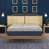 Medium 12-Inch Isotonic Memory Foam Twin Mattress - Omega Lifestyles