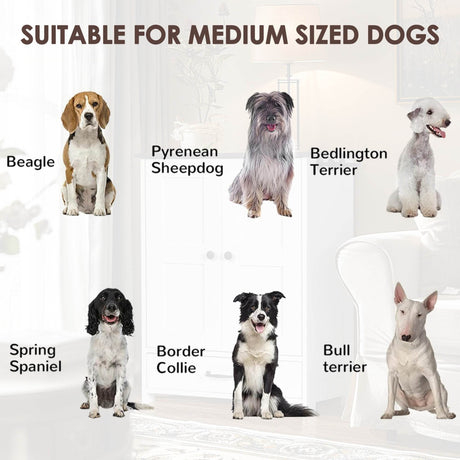 Hidden Pull-Out Dog Feeding Station With Bowls - Sleep Galleria