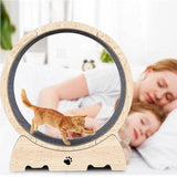 Solid Wood Indoor Cat Exercise Running Wheel - Sleep Galleria