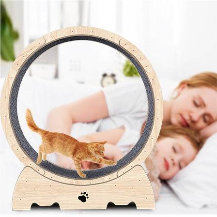 Solid Wood Indoor Cat Exercise Running Wheel - Sleep Galleria