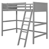 Solid Wood Twin Loft Bed With Ladder Gray - Omega Lifestyles