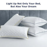 Set Of 2 Soft Hypoallergenic Neck Support Pillows Queen - Omega Lifestyles