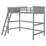 Solid Wood Twin Loft Bed With Ladder Gray - Omega Lifestyles