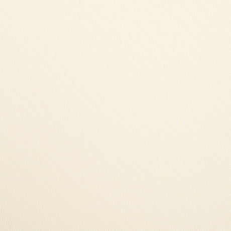 20620974