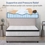 Medium 12-Inch Zoned Support Hybrid Full Mattress - Omega Lifestyles