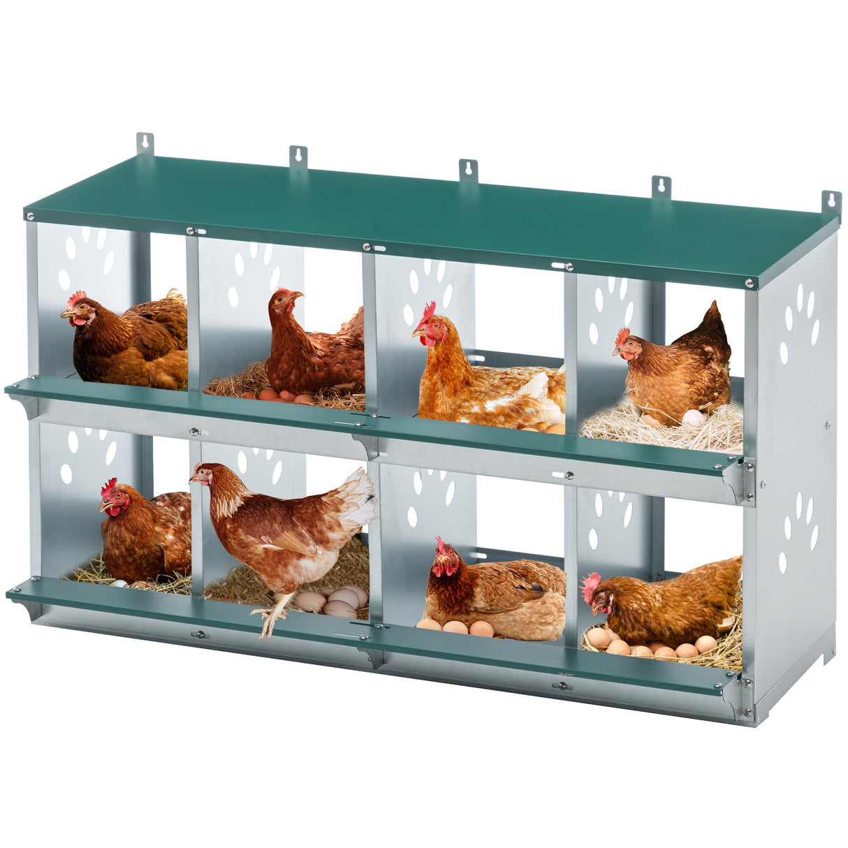 8 Compartment Galvanized Steel Chicken Nesting Box