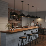 Integrated LED Pendant Light 22-Inch Black Steel