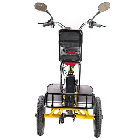 Foldable 350W Electric Adult Two-Seat Tricycle - Omega Lifestyles