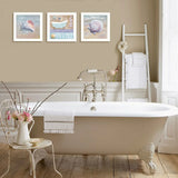 Multicolor MDF 3-Piece Shells II Wall Art Set - Omega Lifestyles