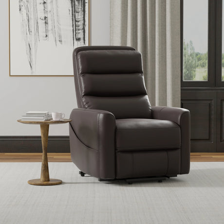 Power Lift Faux Leather Recliner Chair With USB Charging - Omega Lifestyles