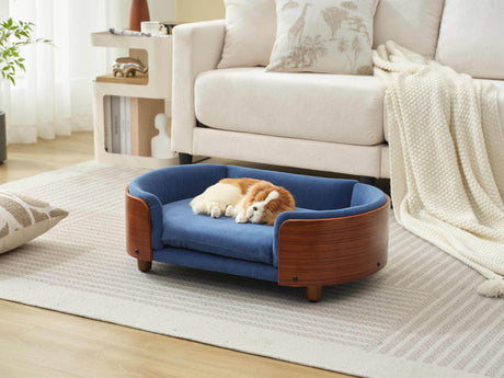 Solid Wood Elevated Orthopedic Dog Bed With Foam Cushion - Sleep Galleria