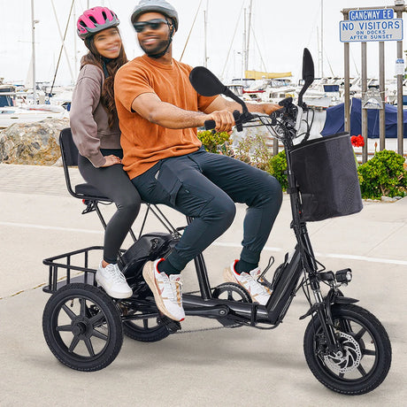 Adult Folding Electric 350W Motor 2-Seat Carbon Steel Trike - Omega Lifestyles