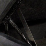 Classic Velvet Storage Chaise Lounge With Pillow - Omega Lifestyles