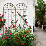 Pair Of Rustproof Metal Garden Trellises 71-Inch French Country