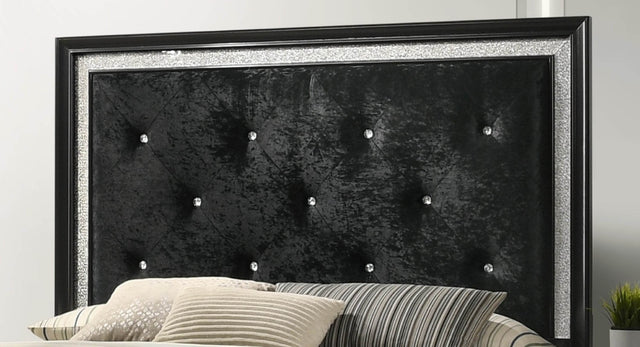 Modern Glam Black Upholstered Queen Panel Bed Frame - Omega Lifestyles