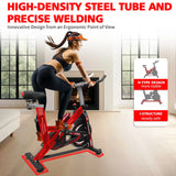 Indoor Exercise Bike Steel Frame With Adjustable Seat - Omega Lifestyles