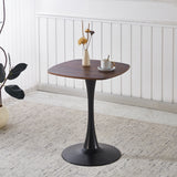 Modern Black Dark Walnut MDF Metal End Table