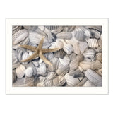 Starfish And Seashell Multicolor Paper Wall Art Poster - Omega Lifestyles